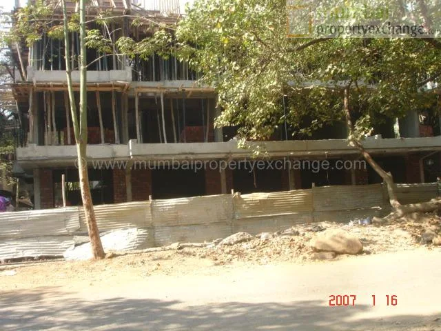 16 January 2007