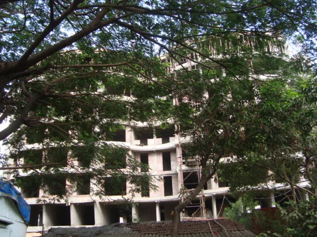 5 June 2009