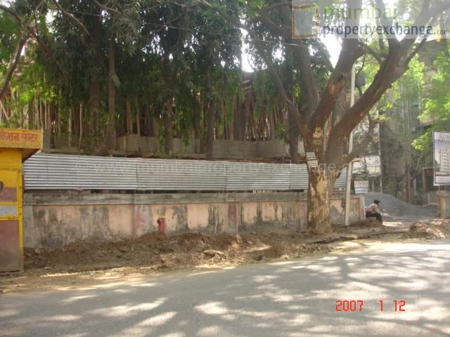 12 January 2007