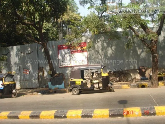 1 BHK Flats on Rent in Tulips, Goregaon East