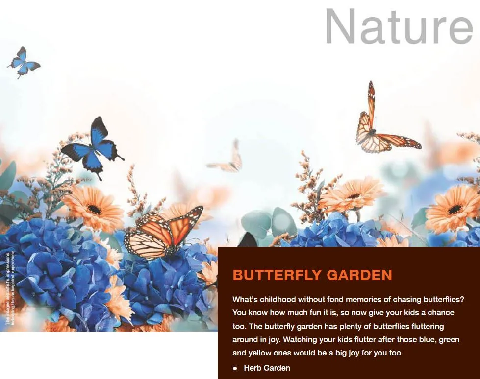 Hot Cake Nature 1