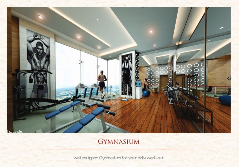 Marvel Gold Petra Gym