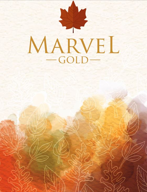 Marvel Gold Petra Image 1