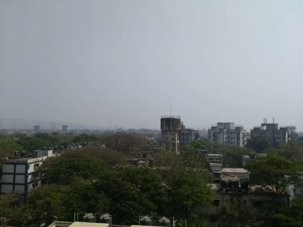 View from Kingsville Site