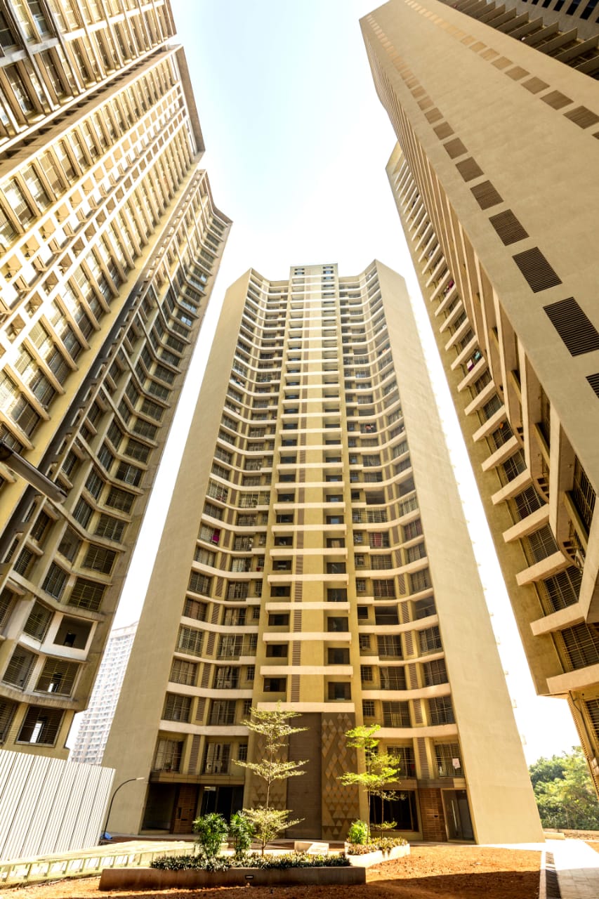 Acme Ozone  Elevation Image 2