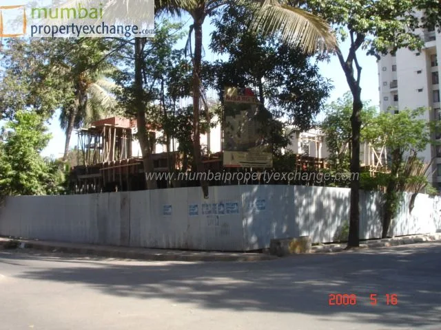 19 May 2008