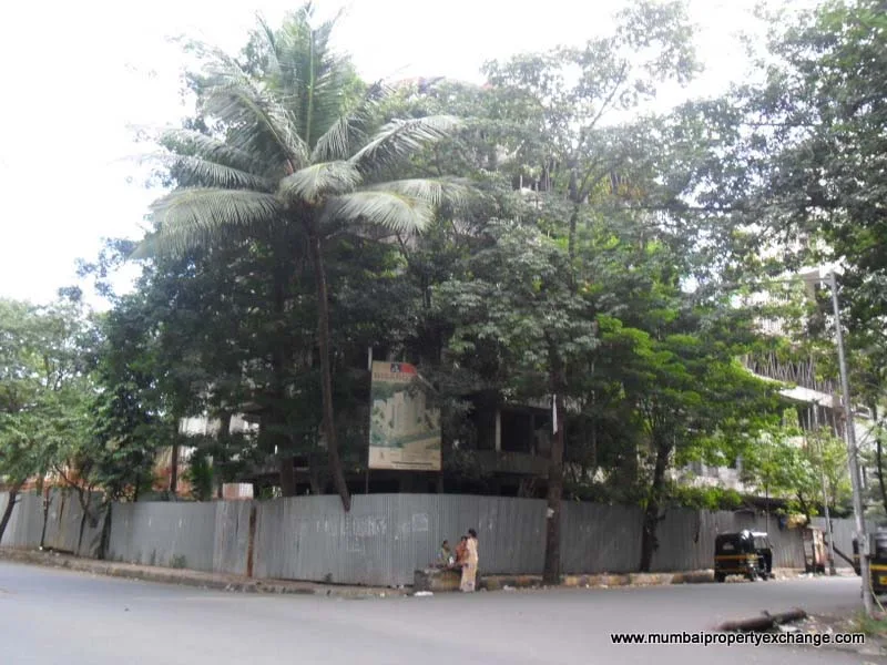 24th Nov 2010