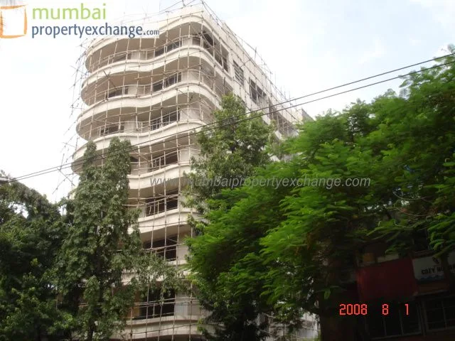1st Aug 2008