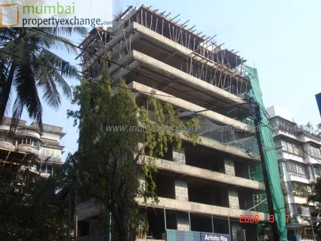 7 March 2008