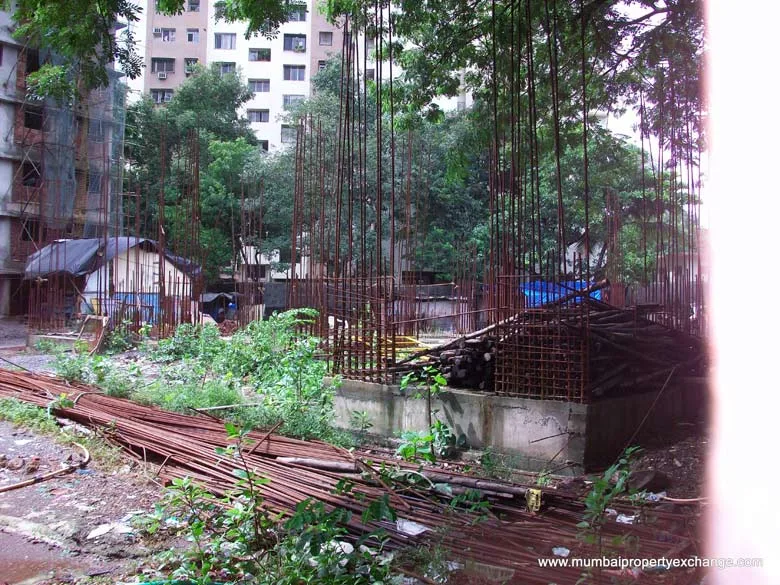 20 July 2009