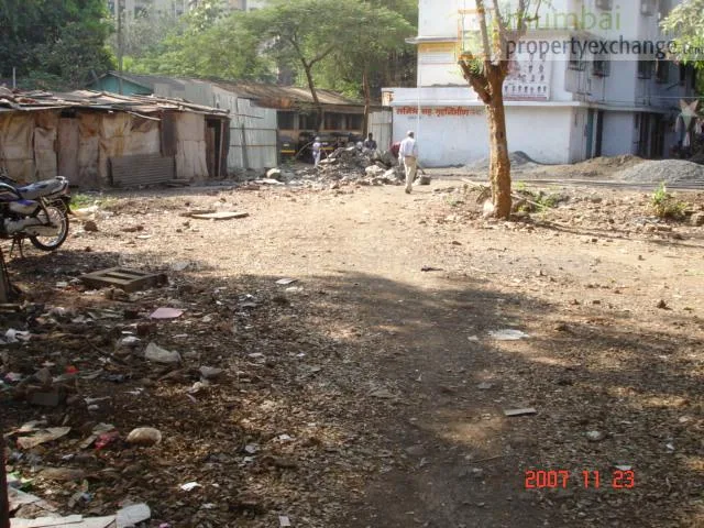 23 Nov 2007