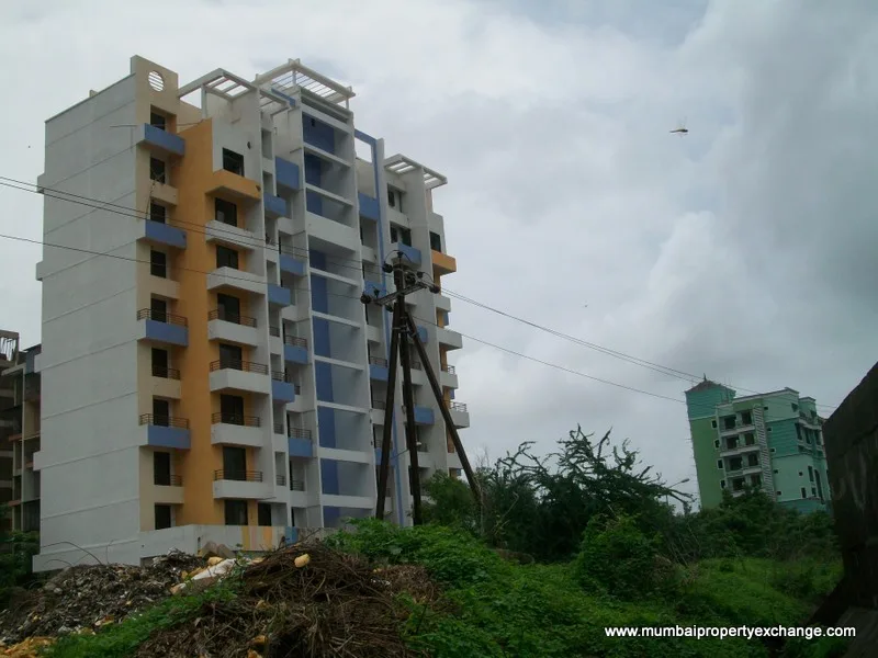 29 July 2009