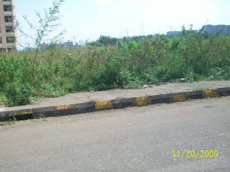 21 Nov 2009
