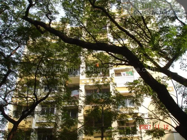 12 Nov 2007