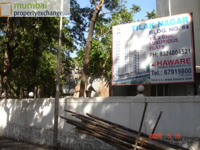 19 May 2008