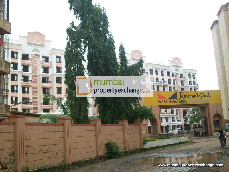 29 July 2009
