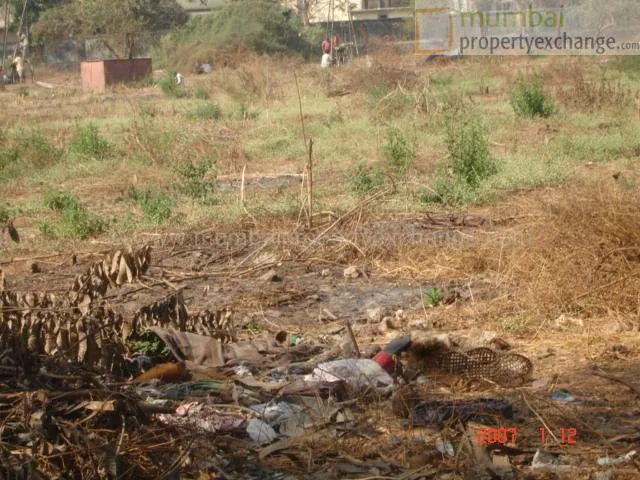 12 January 2007