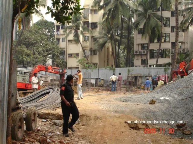 11 November 2005