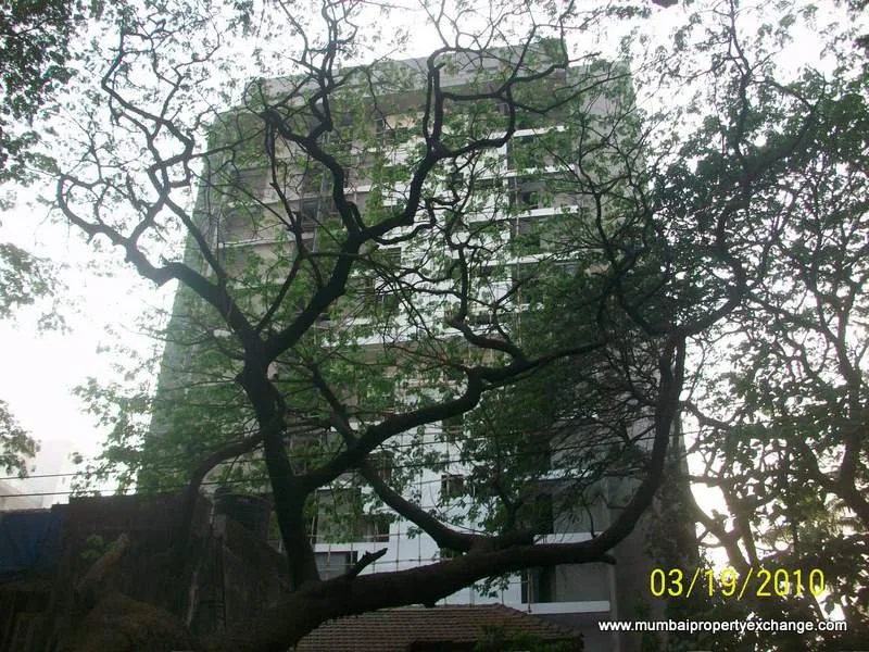 19 March 2010