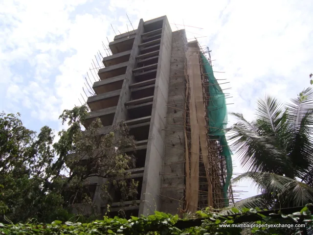 24 June 2009