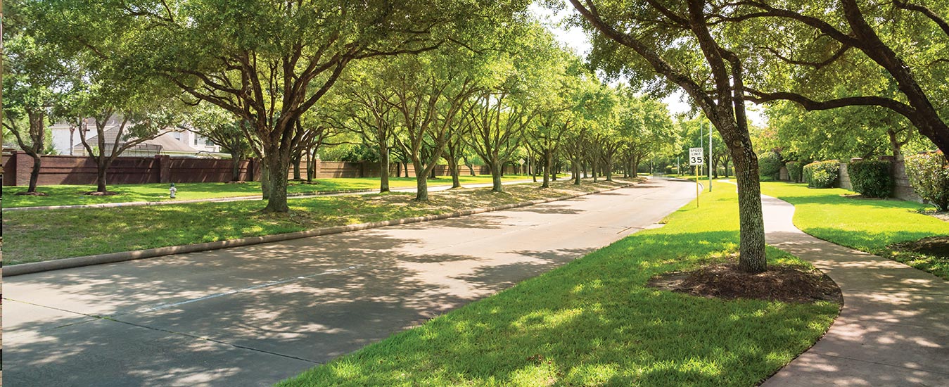 Codename Smart Buy Green Street