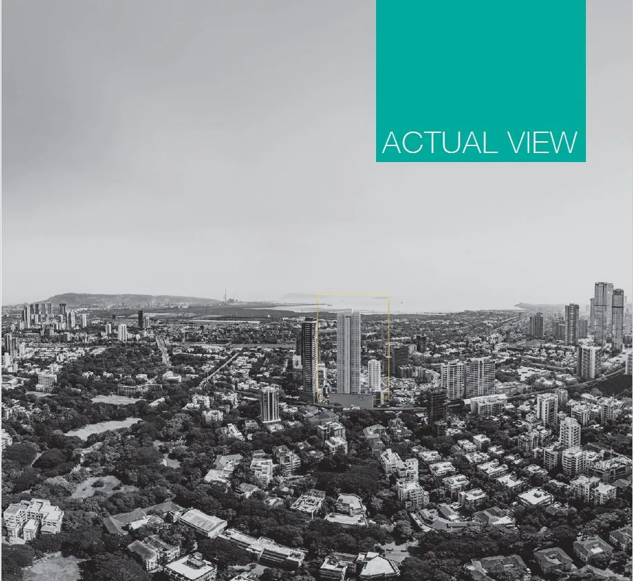 Actual View From Site