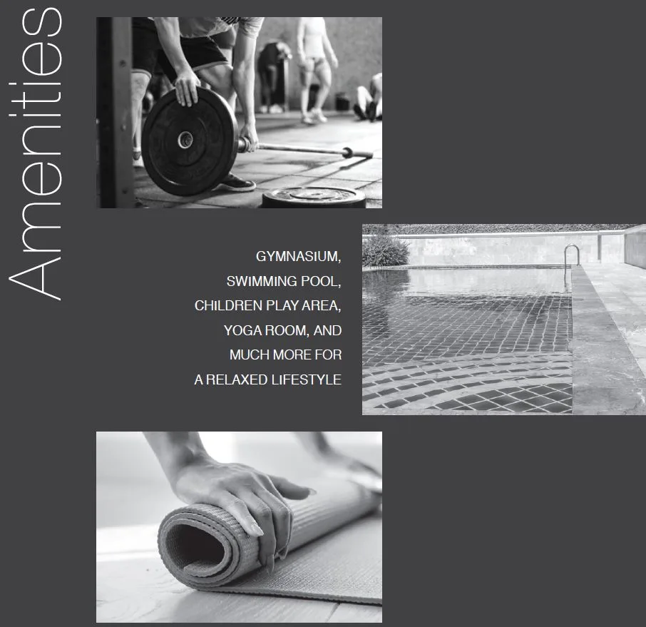 Mittal Sky31 Amenities