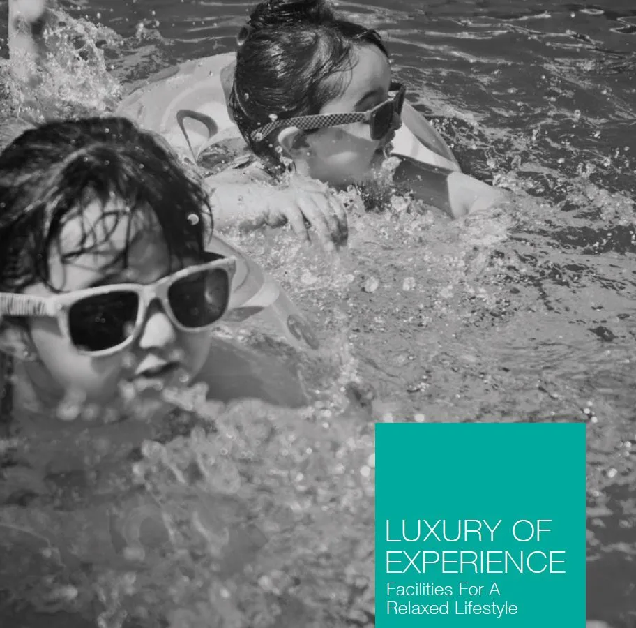 Mittal Sky31 Image 2