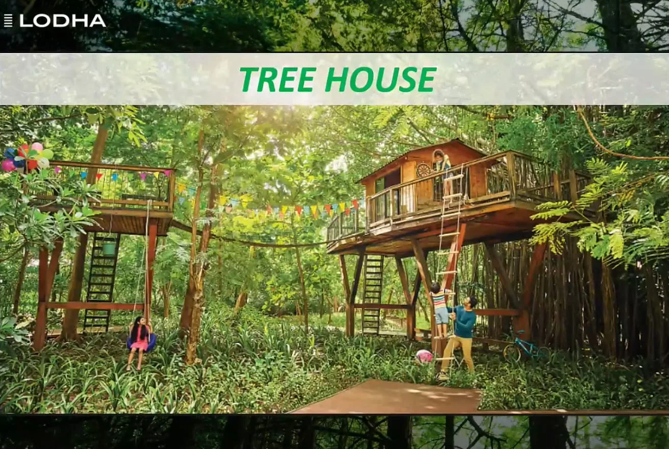 Tree House