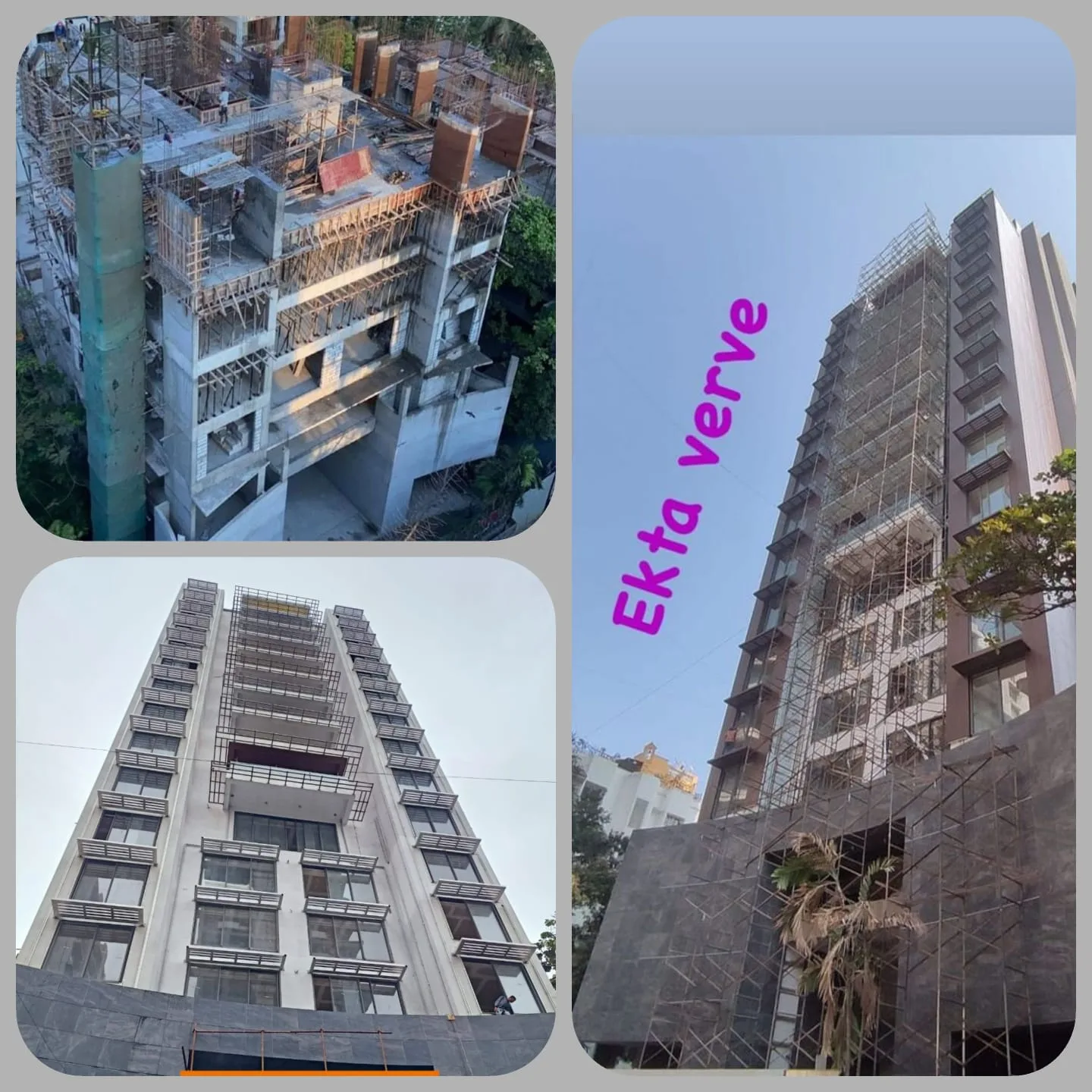 Ekta Verve