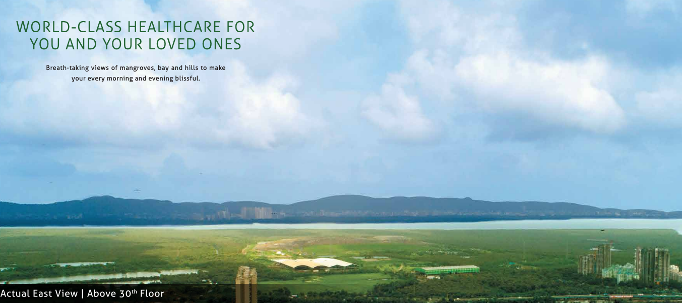 actual-east-view-above-30th-floor