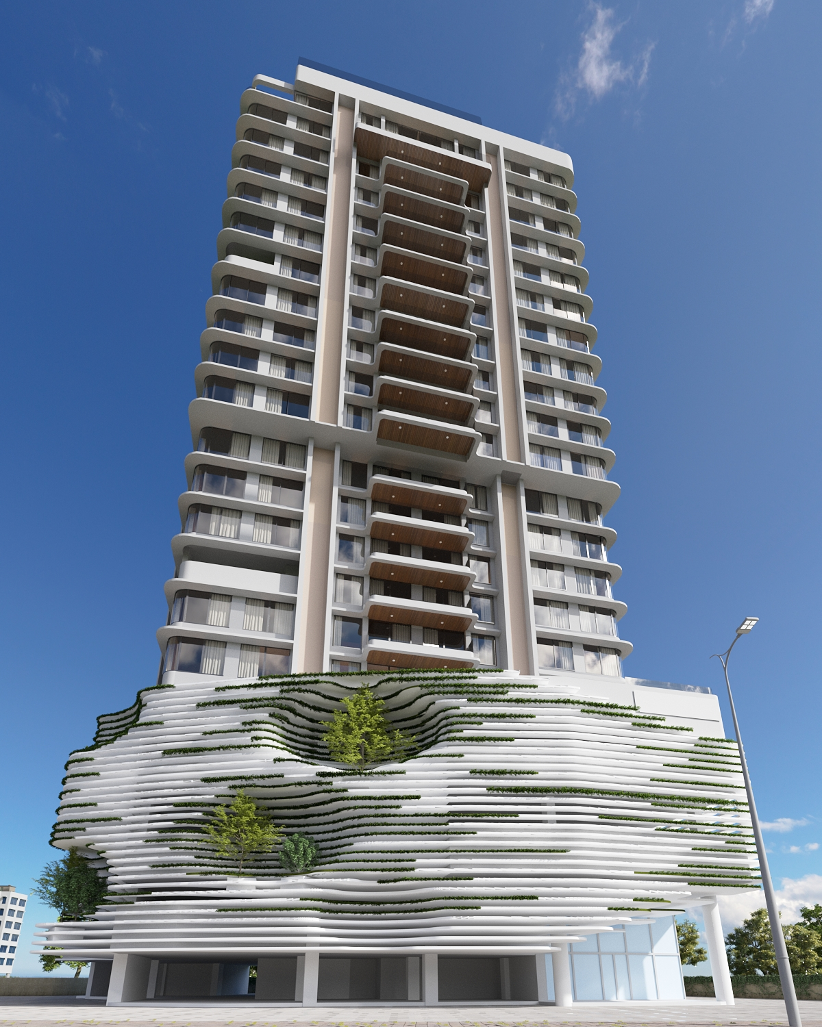 Main Image