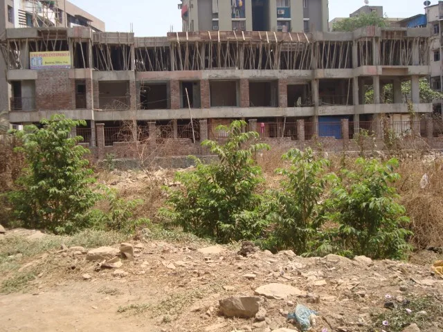 14 Aug 2008