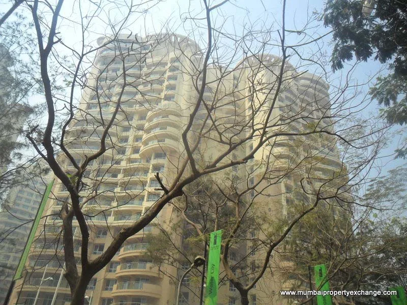 25 March 2011