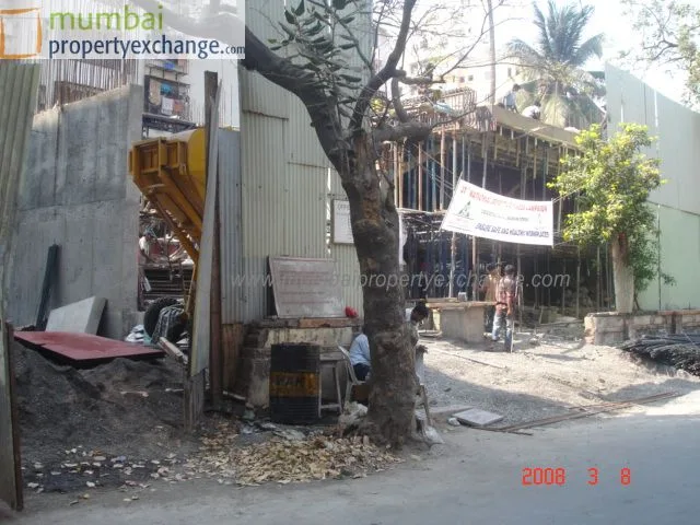 8 March 08