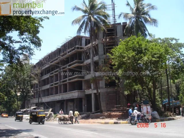 19 May 2008