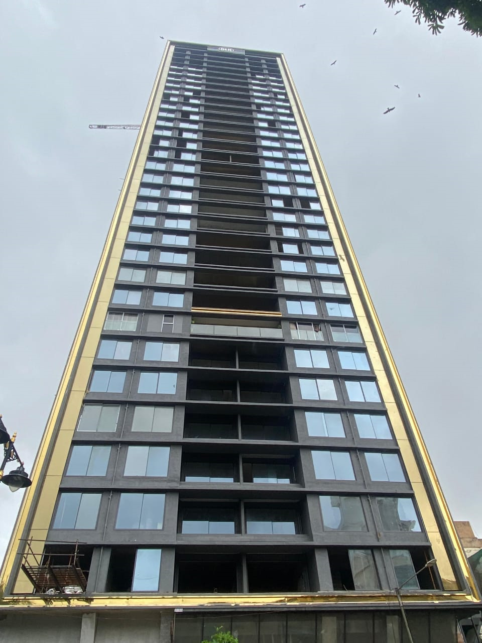 DLH Signature by DLH