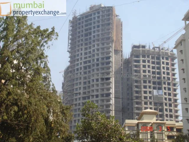 5 March 2008