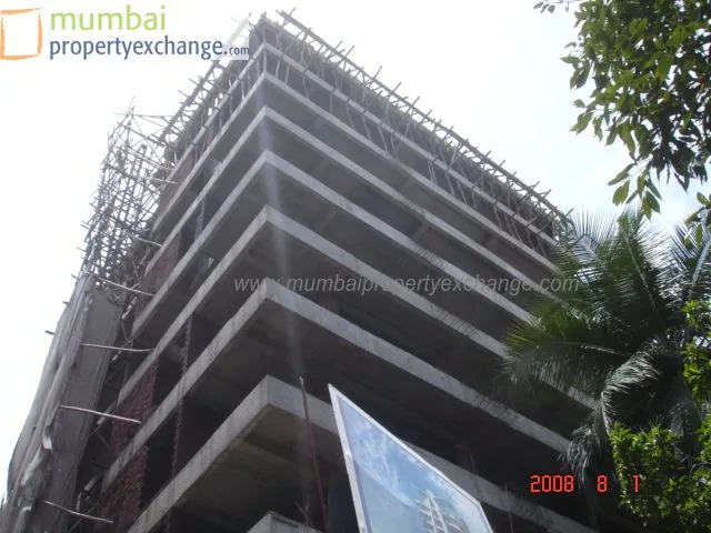1 Aug 2008