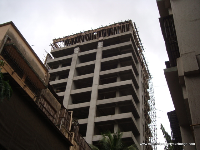 25 June 2009