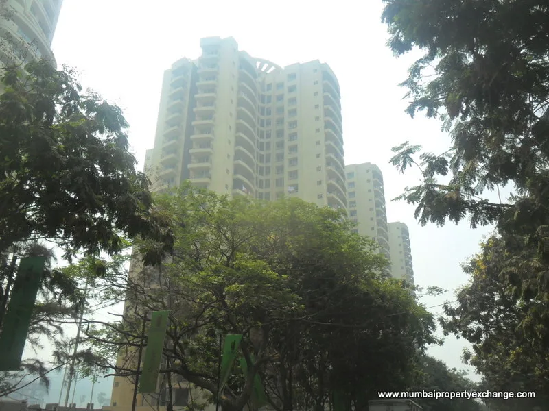 25 March 2011 — photo 9
