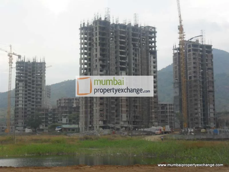 18th Nov 2010 — photo 7