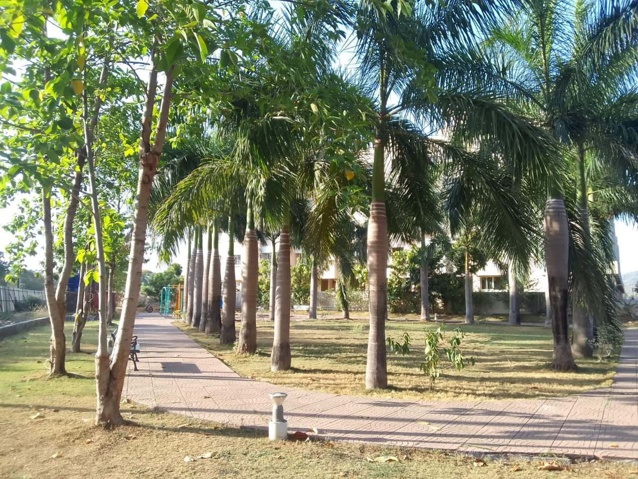 Park