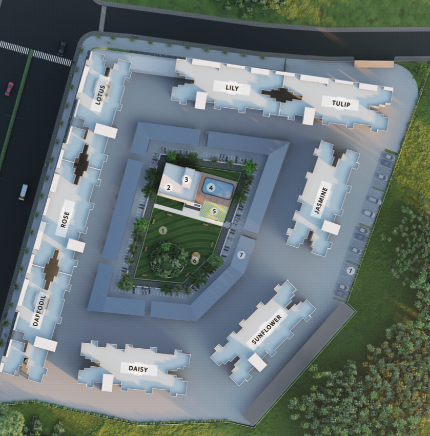 Layout