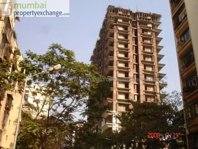 19 Feb 2008