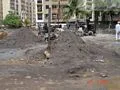 17 Oct 2008