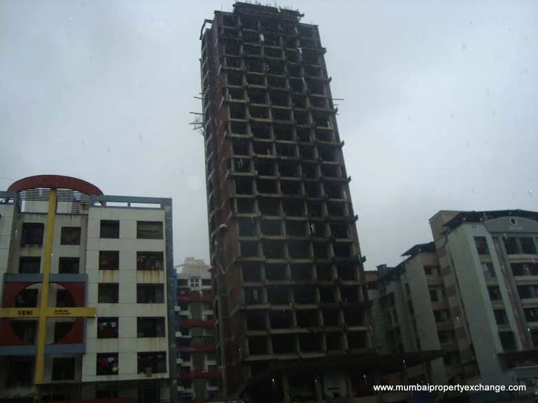 15 July 2009