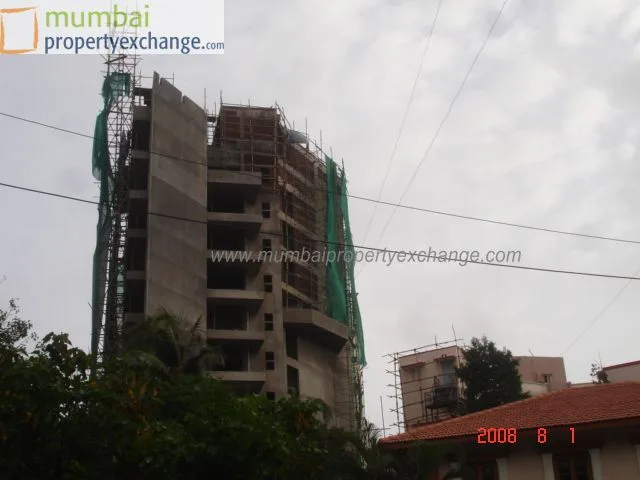 1st Aug 2008