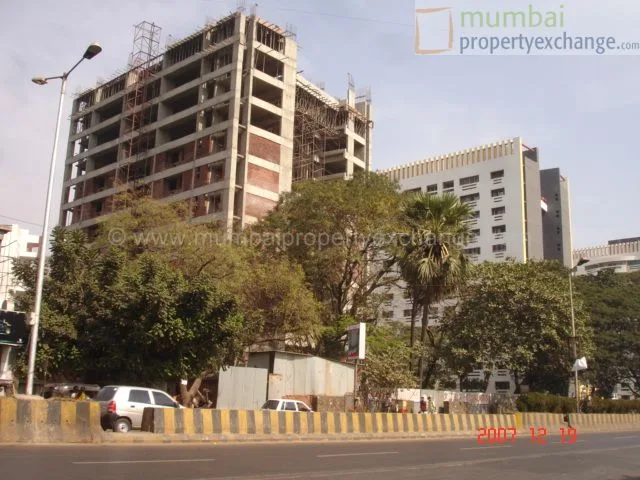 19 Dec 2007
