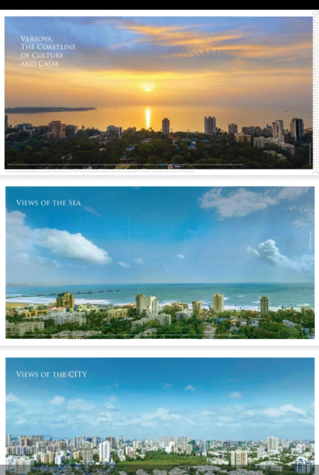 whatsapp-image-2025-07-24-at-13-08-39-96640828